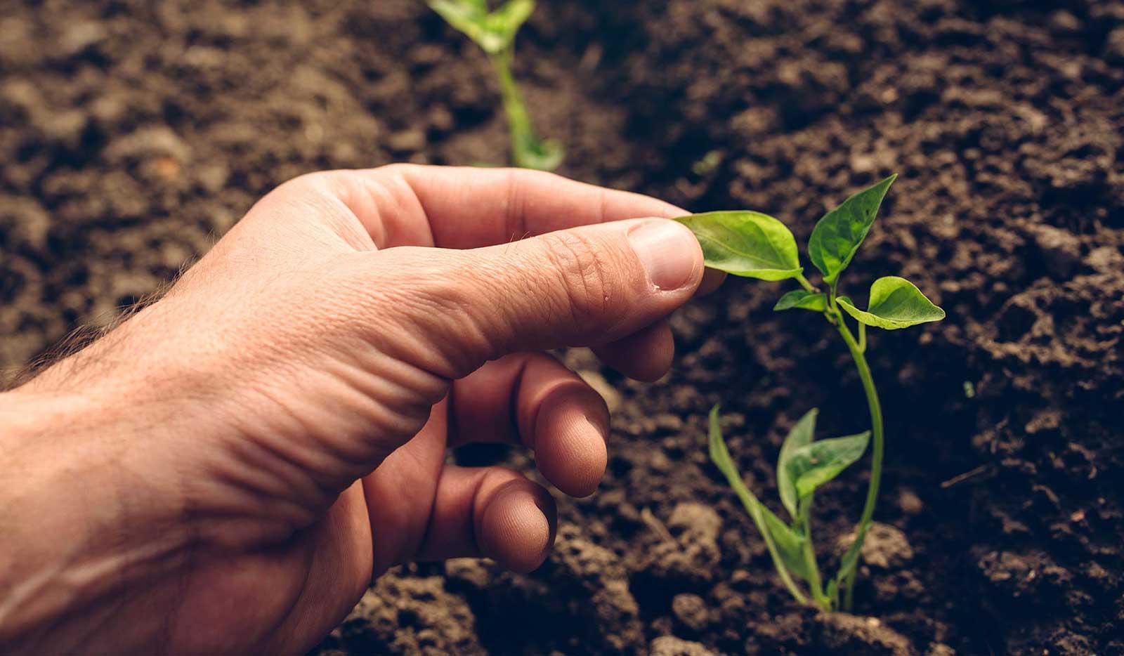 Défiscalisation 2026 : le guide complet adapté à vos besoins